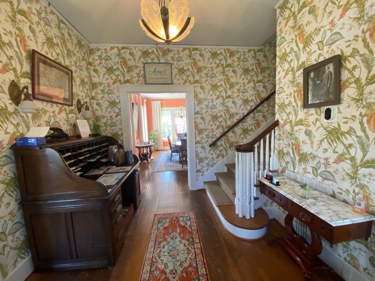 Avenue O Bed And Breakfast Galveston Exteriér fotografie