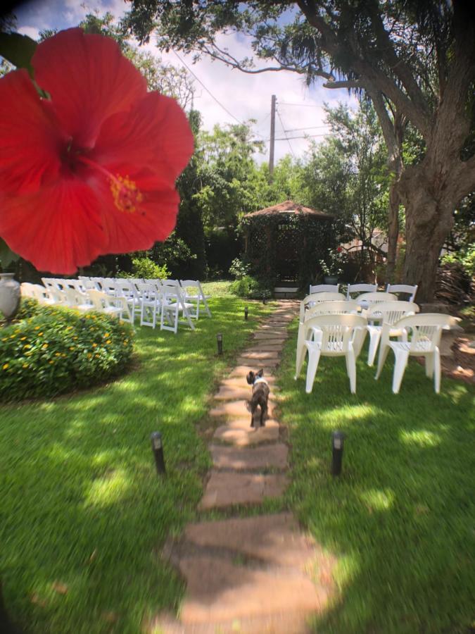 Avenue O Bed And Breakfast Galveston Exteriér fotografie